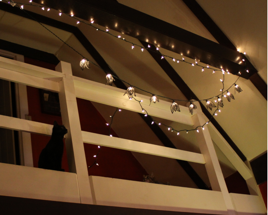 Ivy + Holly gazing at rafters
